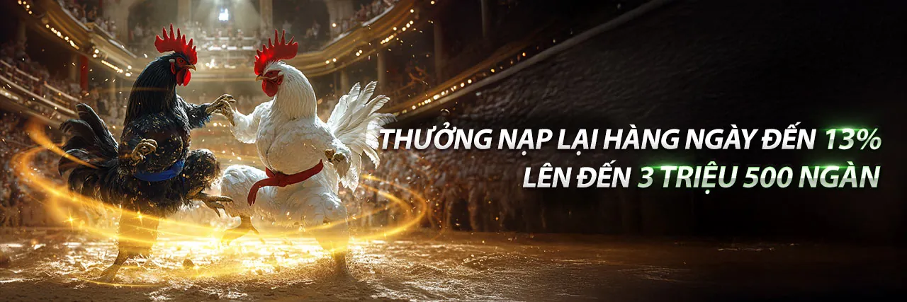 Cá Cược Thể Thao FV88 Đăng Nhập An Toàn Và Nhanh Chóng